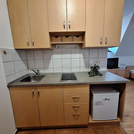 Zupnijski Apartmaji Dolenjske Toplice Exterior photo